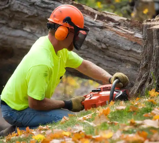 tree services Stallings